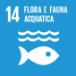 Goal 14: Vita sott’acqua